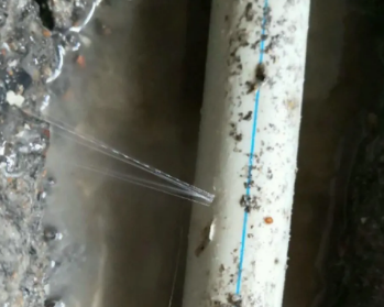 浦城卫生间测漏水多少钱