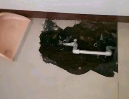 浦城卫生间测漏水多少钱